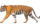 tigerrrr111